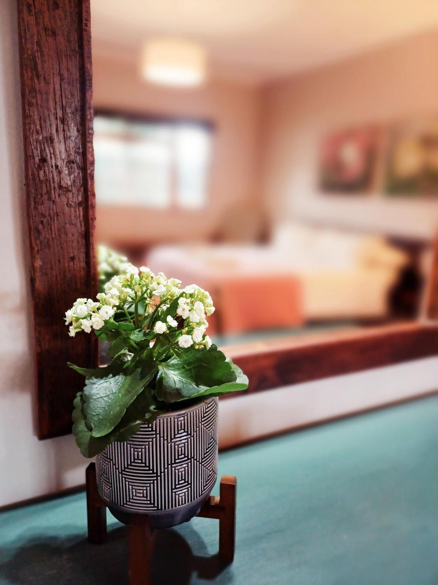 Appartement Loch'nest Le Cap
